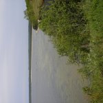 imgp0473