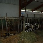 p1000475