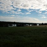 p1000503