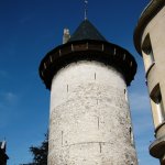 p1000799