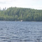 100_1284